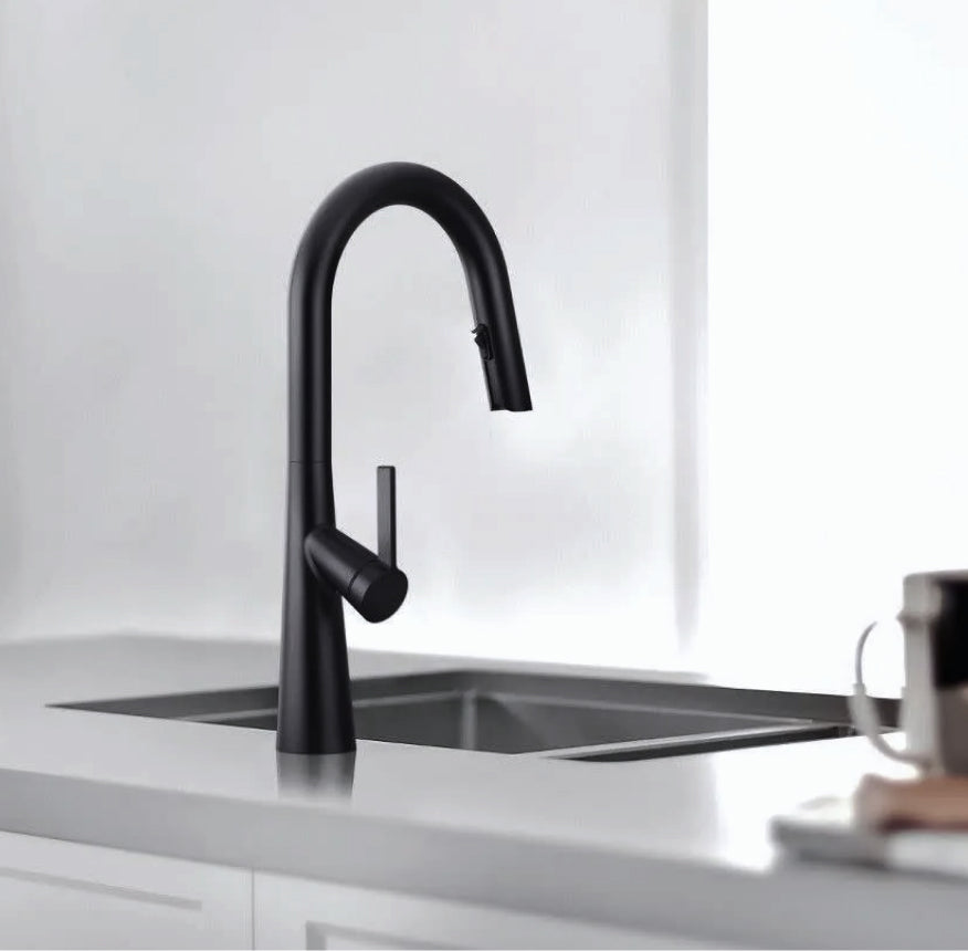 Kitchen Pull Out Faucets
