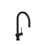 Azure Kitchen Faucet with 1 Spray Black