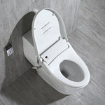 Titan Smart Toilet Seat with Bidet Function White