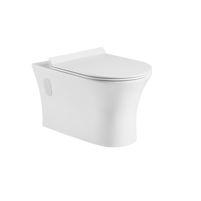 Tabora Dual Flush Wall-mount Toilet with Soft Close Seat White