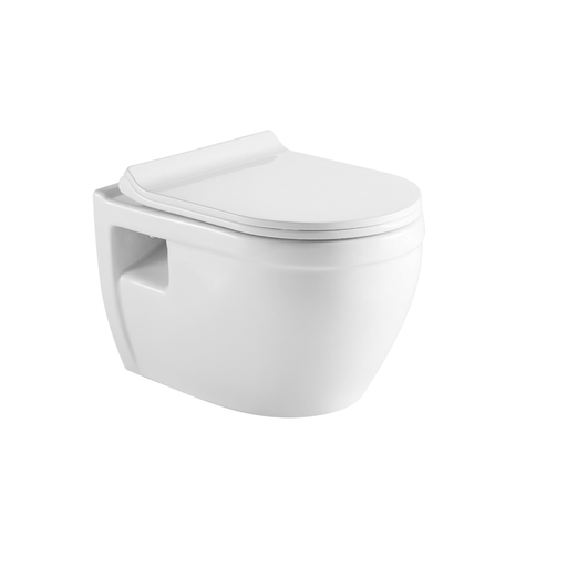 Tiguane Dual Flush Wall-mount Toilet with Soft Close Seat White