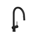 Azure Kitchen Faucet with 2 Jet Spray lackd